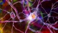 Huntington’s Disease Successfully Treated For First Time – Gene Therapy Slows Progression By 75 Percent