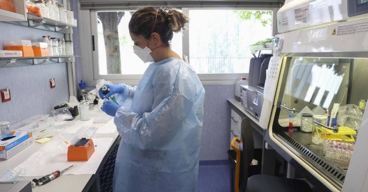 Un vecino de Mojácar, primer caso humano de fiebre del Nilo occidental confirmado en Andalucía