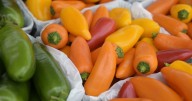 A feast of Farmers Markets enrich St. Tammany Parish