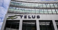 Telus drops the gloves with Rogers over alleged ad blocking on its media platforms
