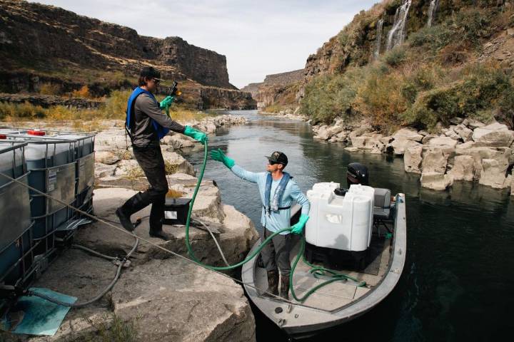 Idaho approves authority to fight quagga mussels in Snake River