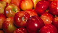 Winners: 2025 Four Flags Area Apple Fest Sweepstakes