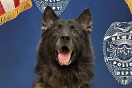 Hawaii Police Department dog dies in overheated car