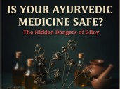 Is Your Ayurvedic Medicine Safe? The Hidden Dangers of Giloy