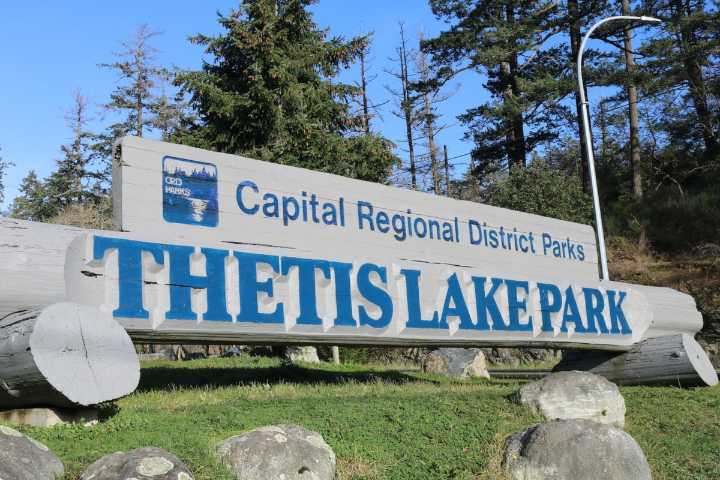 Man, 19, drowns in Vancouver Island's Thetis Lake, recovery efforts ongoing
