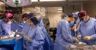 Another New Hampshire man gets a pig kidney as transplant trials are poised to start
