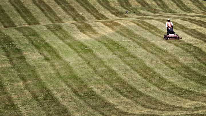Dakota Gardener: Now is the best time to improve your lawn