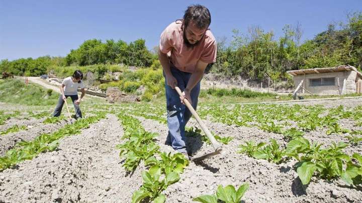 Extremadura destina 5 millones de euros en ayudas para la conservación de especies protegidas