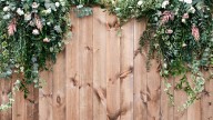What Arizona law says about trimming neighbor's encroaching plants