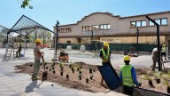 La alianza público-privada que resucitó uno de los terrenos abandonados de la ex bodega Arizu