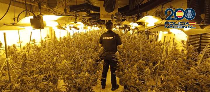 Desmantelan cinco laboratorios de marihuana en Onda y detiene a dos personas
