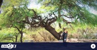 Córdoba: invitan a recorrida para conocer las aves del Parque Autóctono