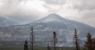 Evacuation orders given to some Alberta residents located near wildfire