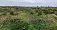Work to begin on 'community benefit' solar energy facility which could lead to cheaper bills