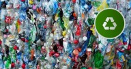 ¿Sabías que existe la posibilidad de utilizar bacterias para producir plástico biodegradable?