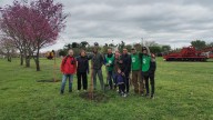 Con la plantación de lapachos rosados, avanza la forestación del Parque Federal