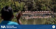Qué hacer sin plata ante tantos feriados: termo, mate y escapar a un bosquecito antes de Tigre