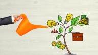 Horóscopo Chino: los signos que van a florecer y recibir muchos beneficios con la primavera