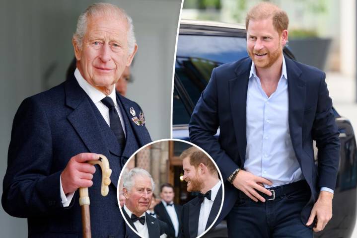 What sparked 'emotional' meeting between Prince Harry and King Charles