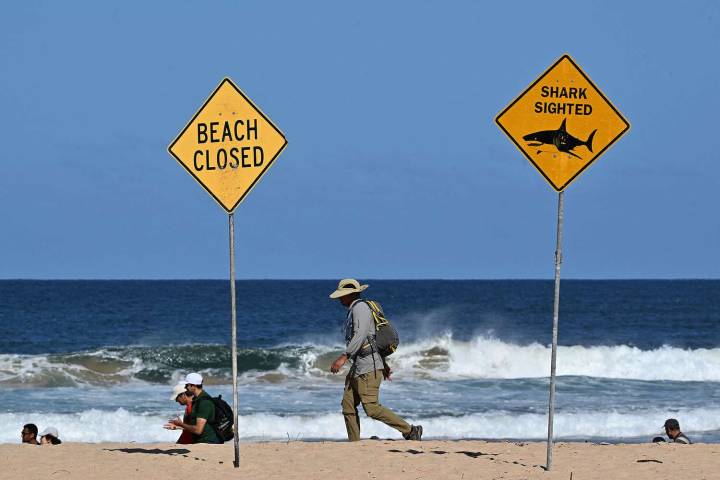 Father, 57, Killed in ‘Freak’ Shark at Popular Beach: ‘Terrible Tragedy'