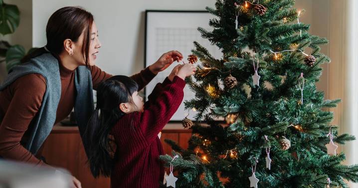 Brits face unwanted presents under Christmas tree as giant spiders set to invade homes