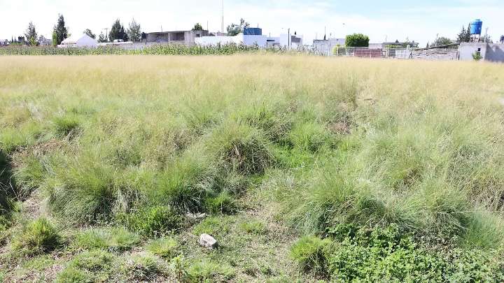 Expropian terrenos en Axocomanitla para construir un campo deportivo
