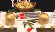 Perú busca Récord Guinness con la ensalada de tarwi más grande del mundo