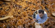 Platos preparados por 'Rubén' y una terraza XL: el restaurante de Zaragoza especializado en arroces