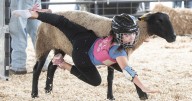 Bloomsburg Fair packed with exhibits, food and fun