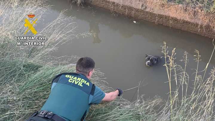 VÍDEO: El complicado rescate de un perro que llevaba dos días atrapado en una acequia