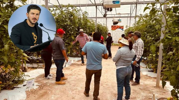 Anuncia Samuel García apoyos a productores del Tecnoparque Hortícola en Galeana