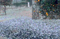 Llovió y granizó en Entre Ríos: la zona más afectada