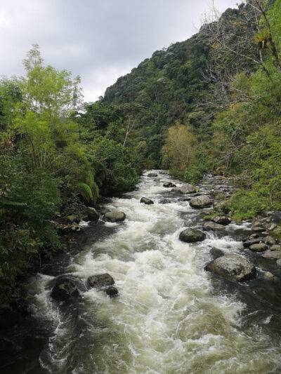 La deuda histórica con el río Otún que por fin entra en fase de ejecución