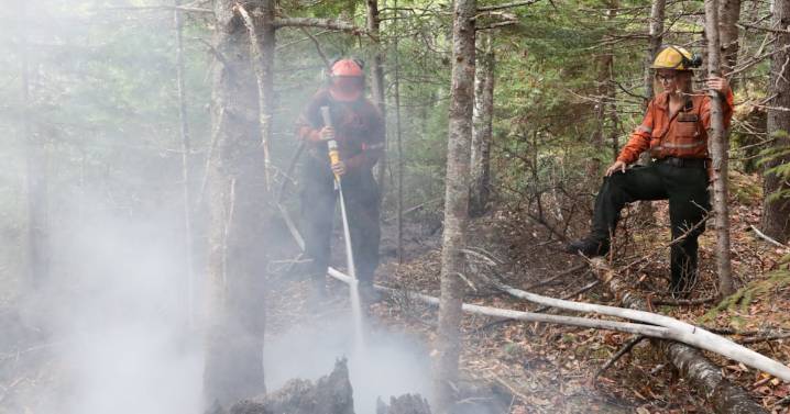 Long Lake: Wildfire still being held, more evacuees can go home