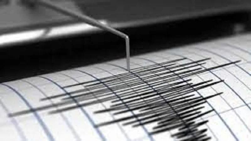 Sismo de magnitud 3,7 sacudió al municipio de Gigante, Huila