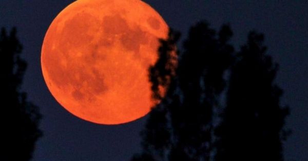 Eclipse lunar total: mirá cuándo y dónde ver la Luna de Sangre