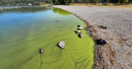 Panhandle Health District issues health advisory for Hauser Lake in Kootenai County