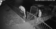 Two 18-year-olds caught in Parker Canyon Lake store break