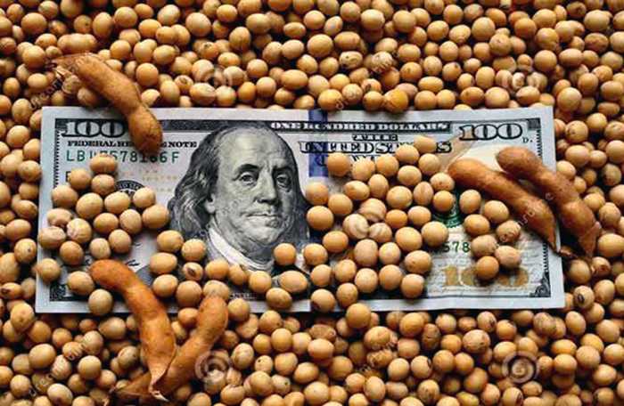Inédito: en este mes Argentina exportará más poroto que harina de soja gracias a la “aspiradora” china