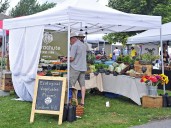 Glengarry Honey and Pollinator Festival held in Alexandria