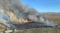 ANSE descarta que se pueda se construir en el entorno del Mar Menor afectado por los incendios