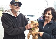 How a missing dog case exposed a 'bizarre' scandal in New York