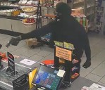 Lee County couple face charges after alleged armed robberies in areas along I