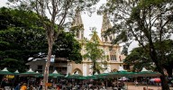 Meterán policías encubiertos en cafetales para cuidar cosecha en el Suroeste: homicidios crecen 82% en cinco municipios