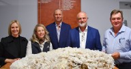 Merino wool sector debates transparency and culture change