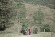 Admiten demanda contra decreto del gobierno que modifica la compra de tierras por parte de la ANT