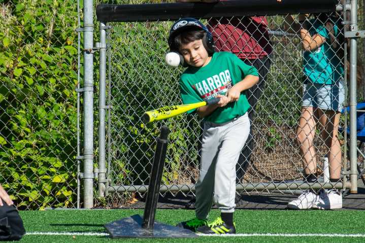 Cuteness overload: Snug Harbor’s Littlest Leaguers take the field Saturday (68 action