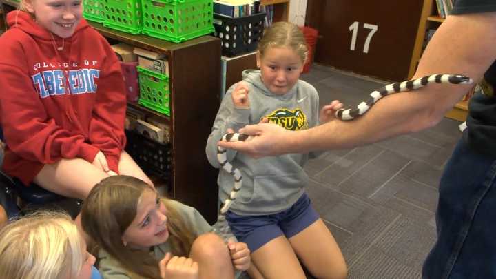 Fargo fifth graders meet snakes in the classroom