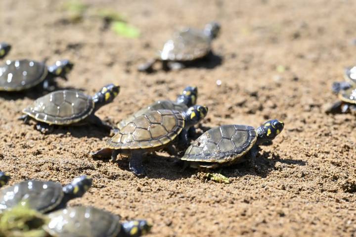 Día Mundial del Turismo: Conoce los lugares más biodiversos del Perú que debes descubrir