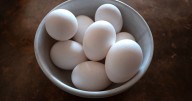 La principal diferencia entre los huevos de gallina en jaula y en libertad: «Que no te engañen»